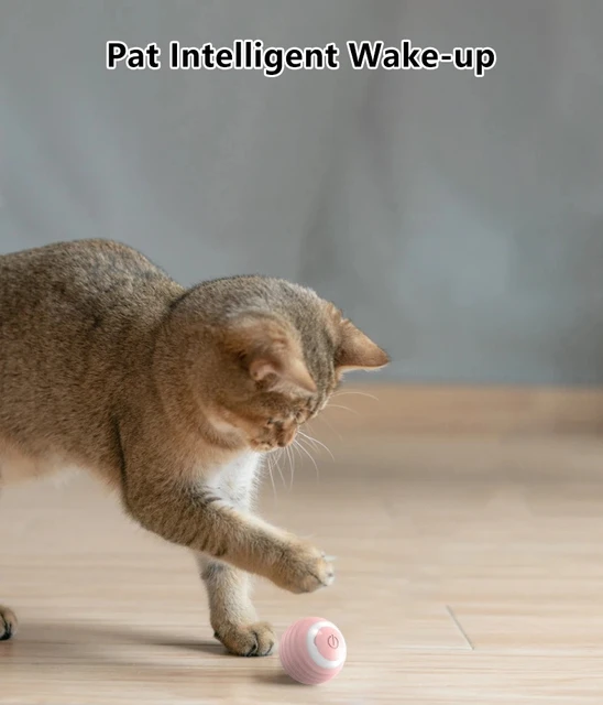 Interactive Smart Cat Ball 5