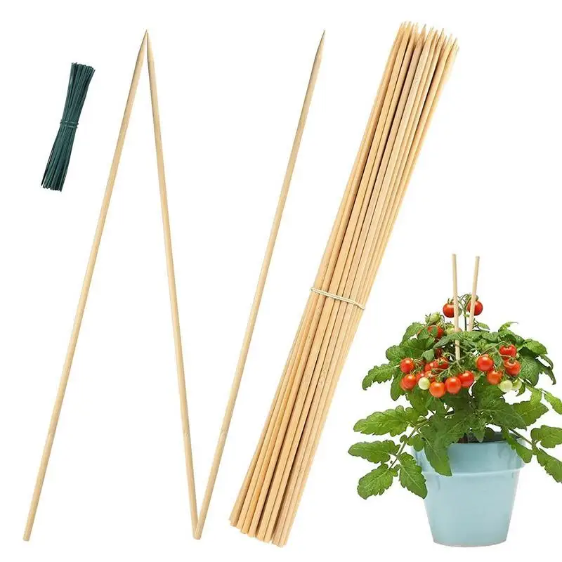 

Plant Cages Climbing Pole Moss Stick Plant Sticks Support Moss Palm Vines Stick Reusable Plant Creepers Garden Courtyard