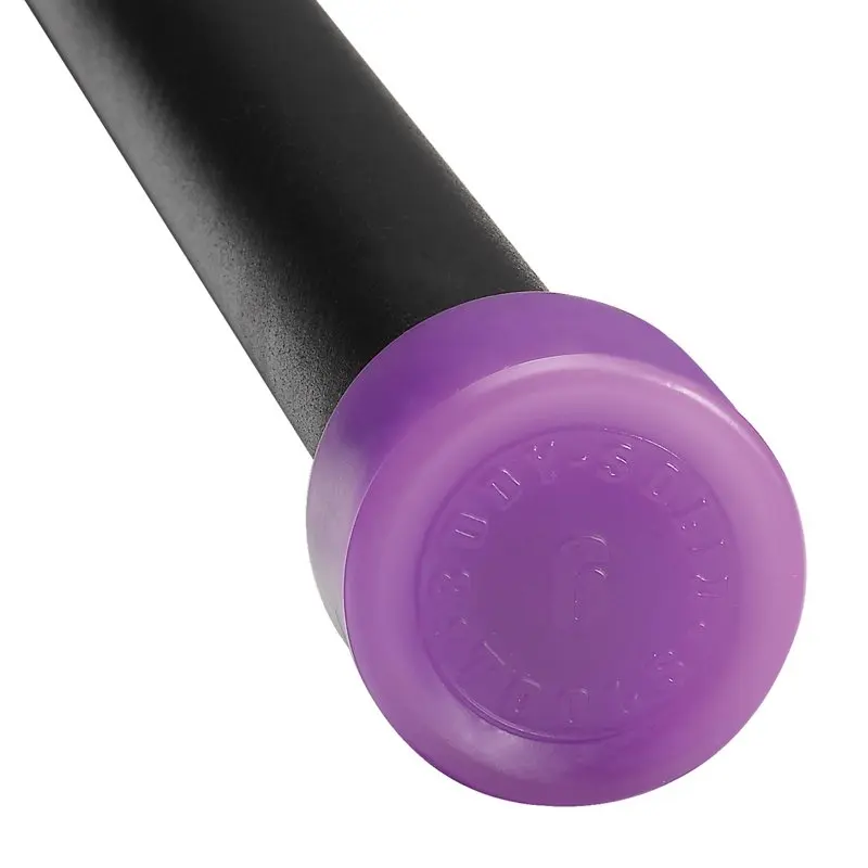 

BSTFB6 6 lb Fitness Bar - Light Purple