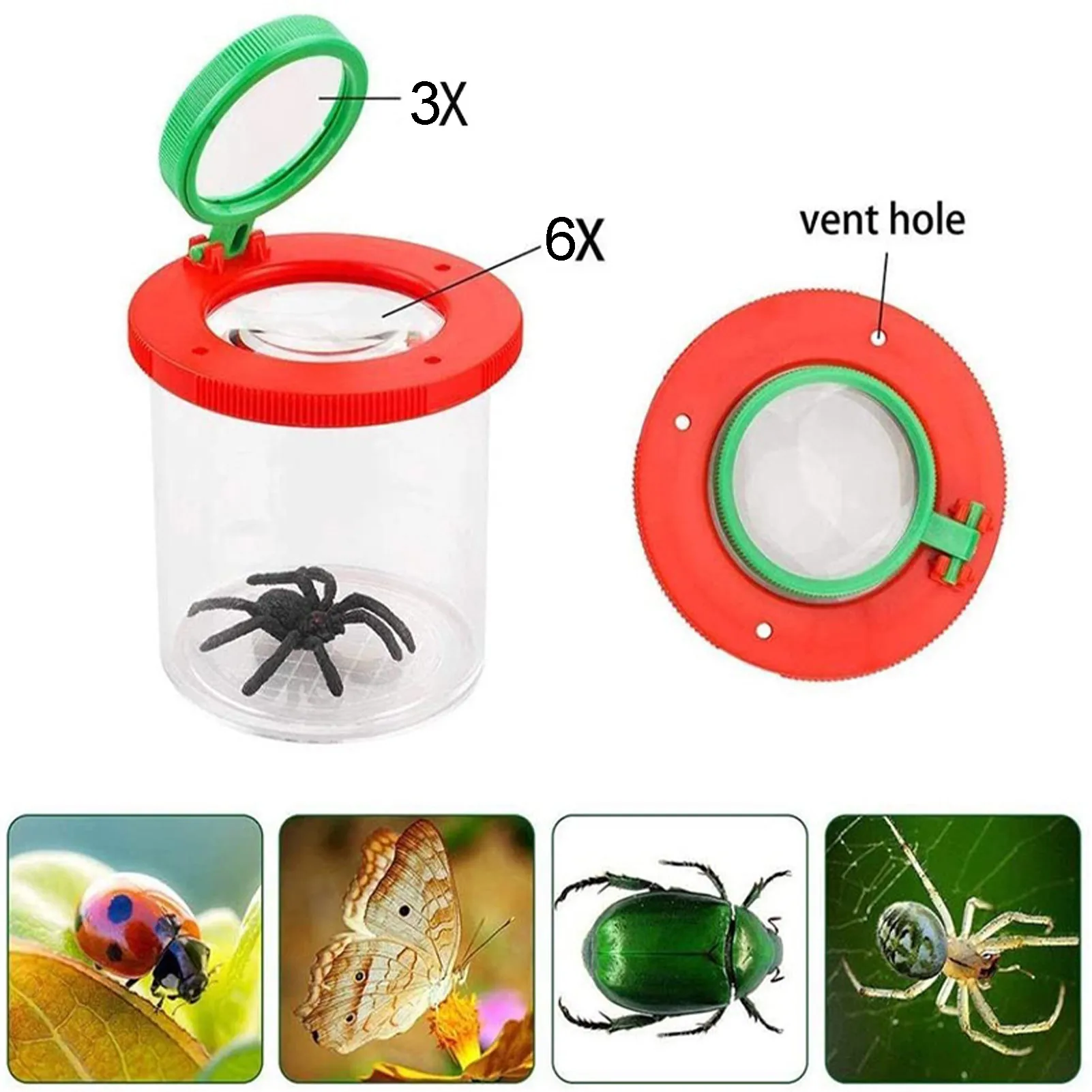 Ensemble de piège à insectes pour enfants, loupe, pince à épiler