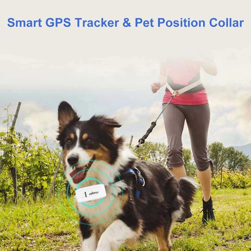 Mini TKSTAR Pet Tracker With Collar GSM/GPRS Positioning Real Time GPS Tracker Dog Pet TK909 LK909 P Dog/Cat /IOS /Andriod App