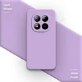 Grass Purple
