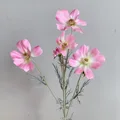 Pink B