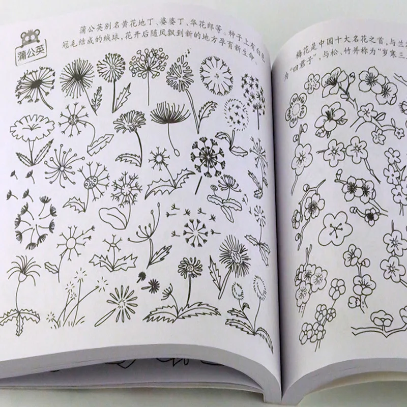 Usborne Kids English Picture Book Set 3