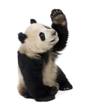 He Yan Store