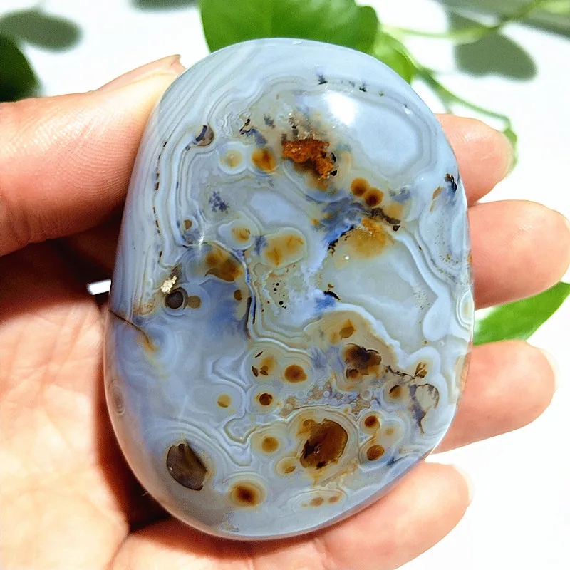 

Natural crystal anau waterplant plant agate stonePalm stone plaything stone yoga stone exercise stone material