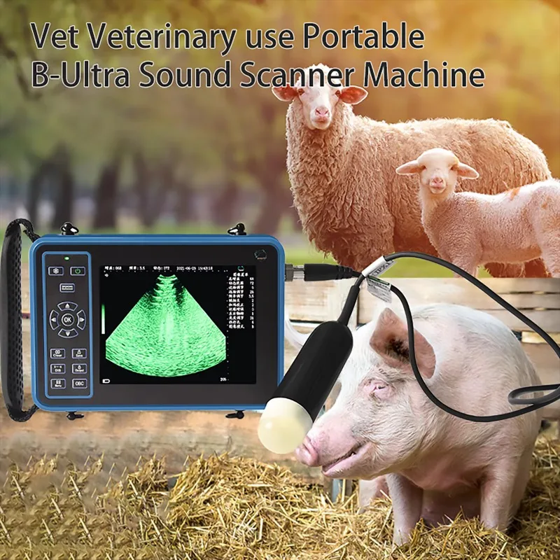 ANDRU Ultrasound Veterinary Machine Vet Handheld Scanner Portable Animals for Equine Cow Camels Goat Dog Cat