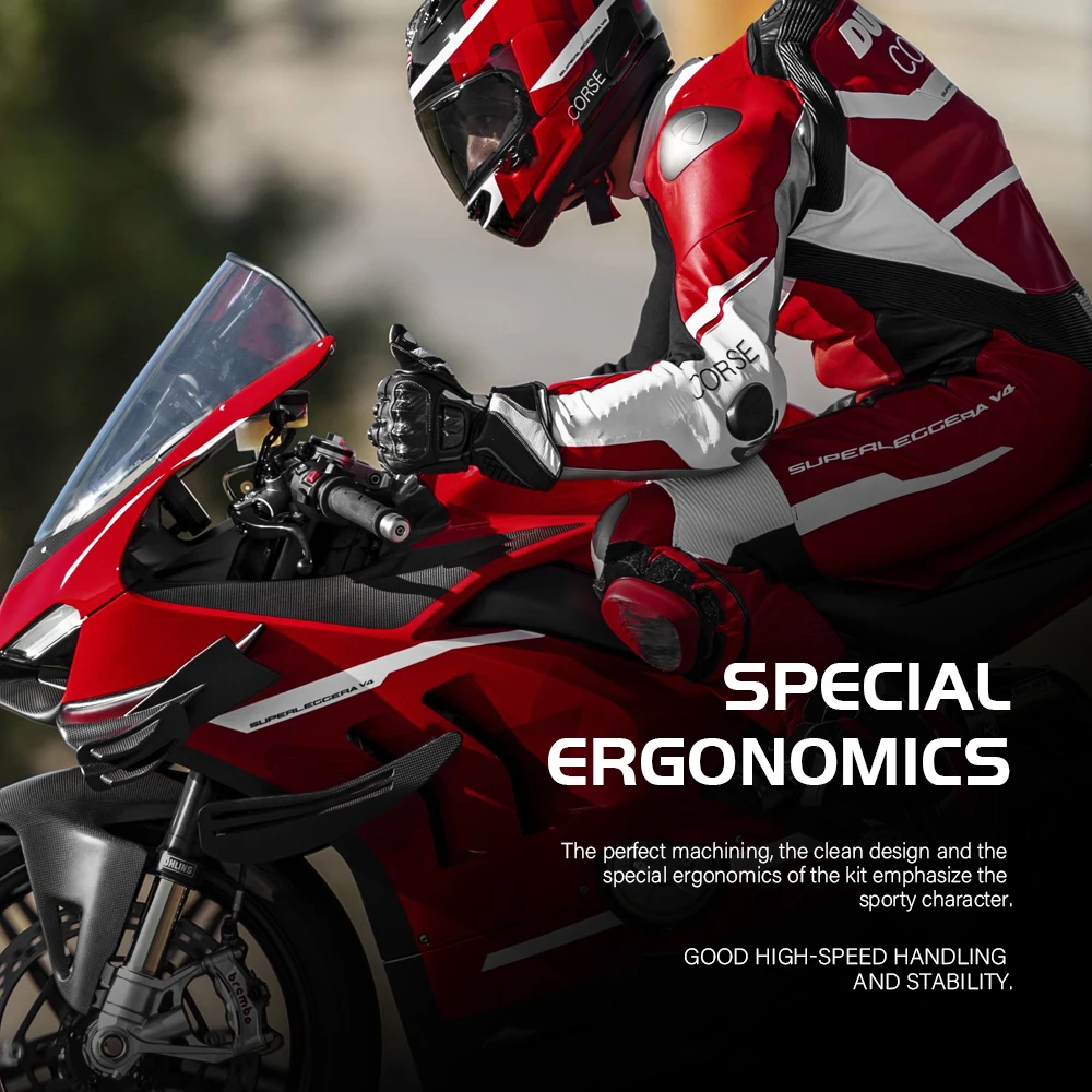 Ŭ  ũ  Ducati 1299 959 Panigale V2 V4 Superbike 848 899 959 1198 1199 1299  Ϲ ڵ 