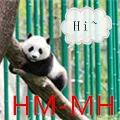 HM-MH Store
