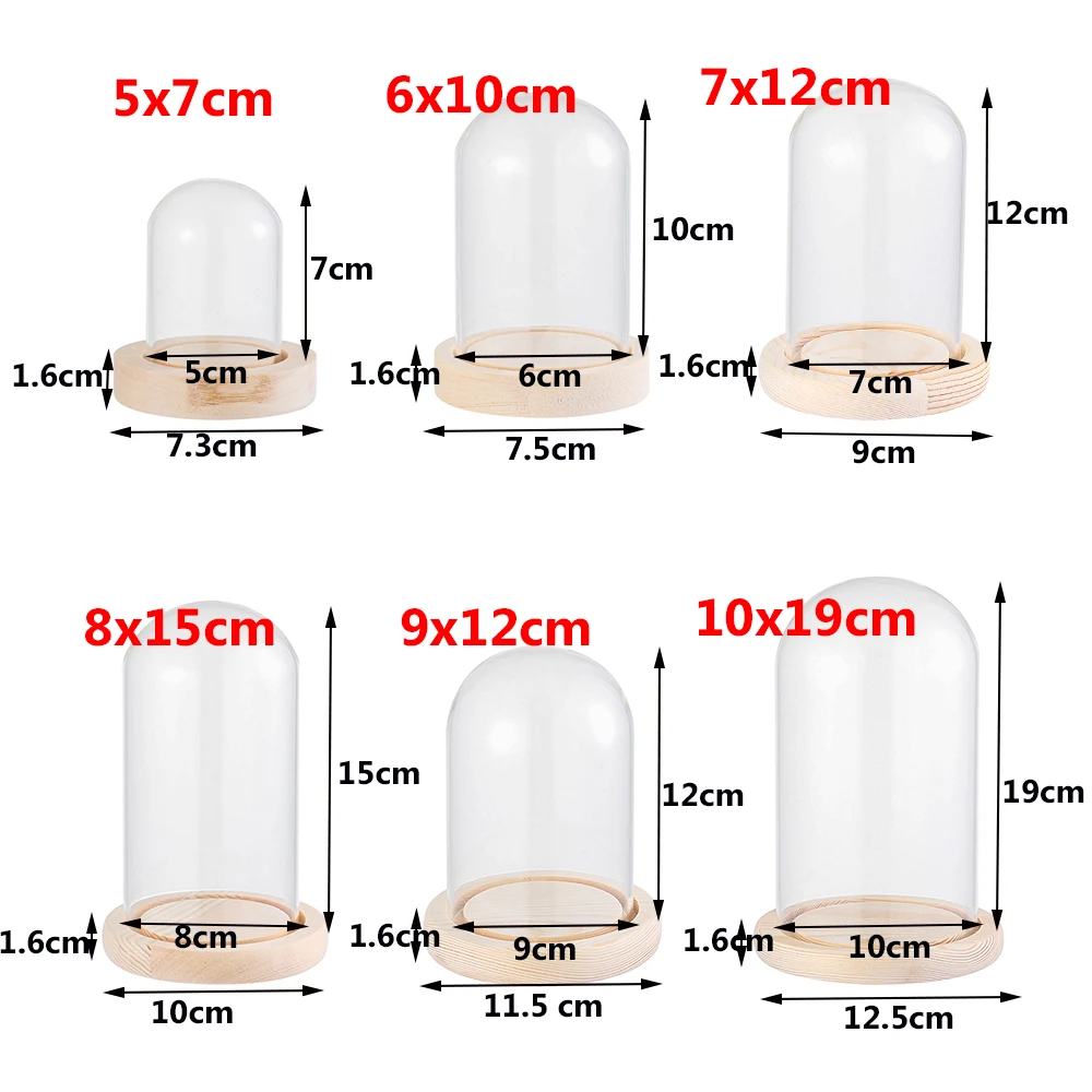 Home Decor Vases Glass Flower Display Cloche Bell Jar Glass Bottle Wooden Base Dust Cover Display Box Immortal Flower Box-glass bottles,mini glass bottles,glass display dome