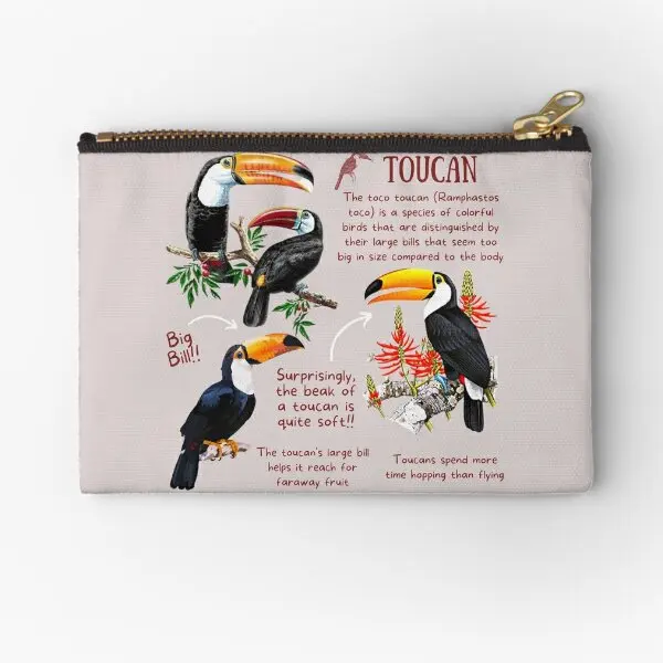 

Toucan Fun Fact Zipper Pouches Women Underwear Small Men Socks Key Packaging Bag Cosmetic Storage Wallet Pocket Panties Money