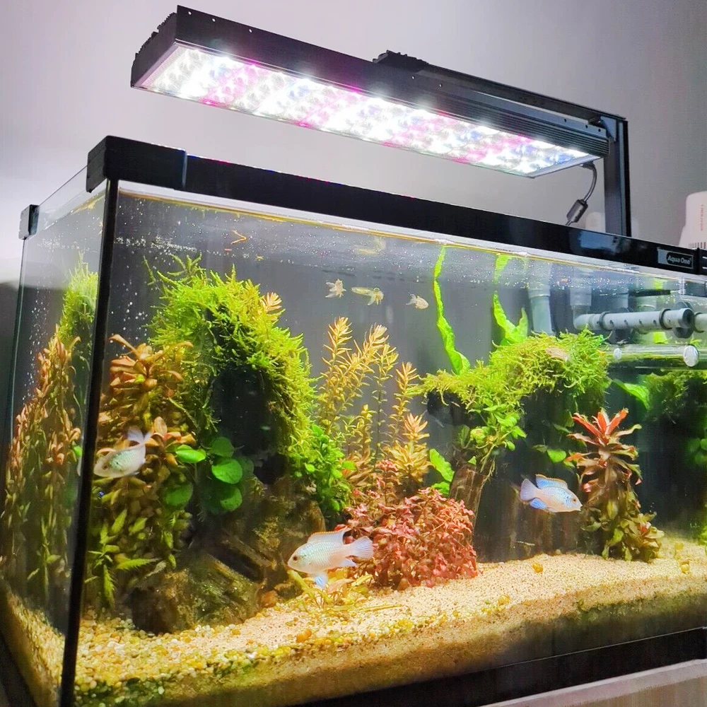 WRGB – lampe LED étanche avec minuterie, éclairage submergé pour Aquarium  40cm-180cm, luminaire décoratif pour Aquarium - AliExpress