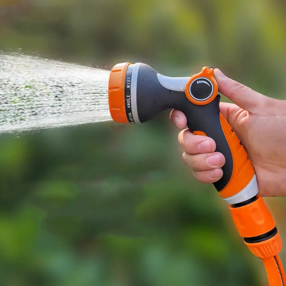 Tuya Del Canadá Arbusto Natural, Seto Exterior Resistente, Riego Moderado, Planta Viva Para Jardín