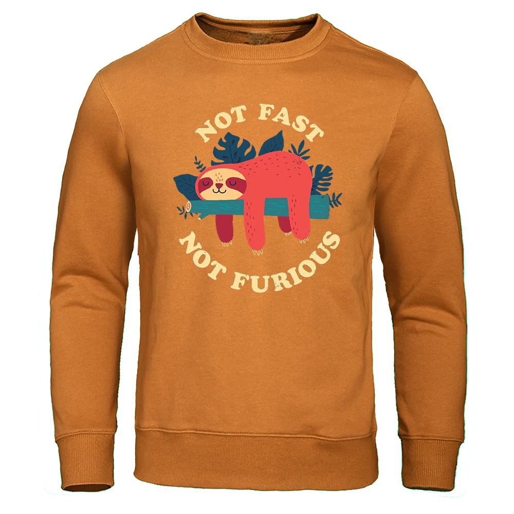 Not Fast Not Furious Cartoons Clothes Men Fashion Fleece Sweatshirt Cartoons Print Clothing Harajuku Loose Clothes Autumn Mens