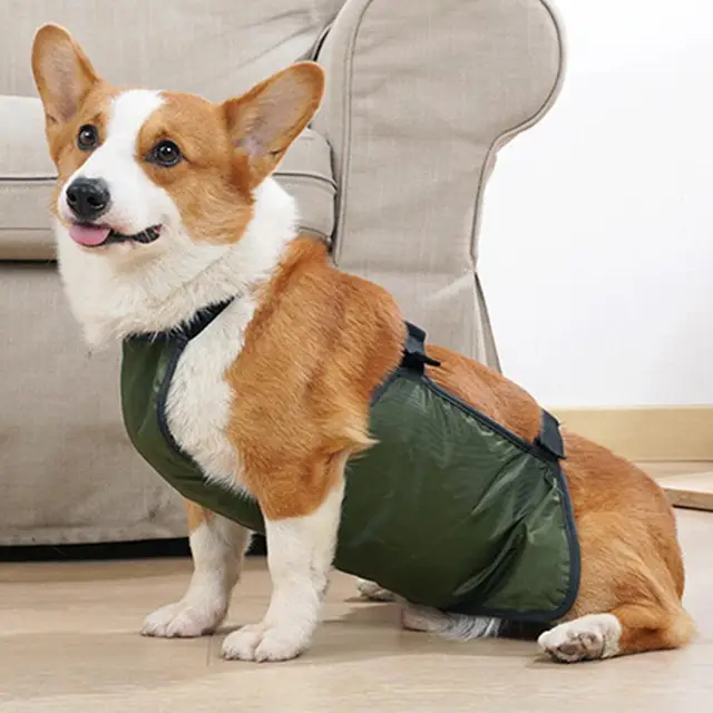 Dog Diapers Washable Male Reusable, Premium Belly Bands For Dogs