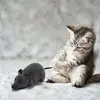 Wireless Electronic Remote Control Rat Plush Mouse Toy Squeaky Mouse Cat Toy Moving Emulation Toys Rat for Cat Interactive Toys 4