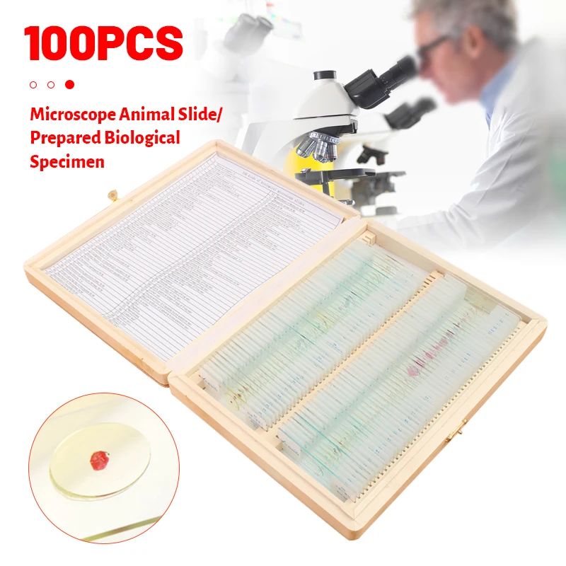 

100Pcs Microscope Slide Preparation Of Animal And Plant Bioglas Specimens For Student Biological Research Microscope Accessories