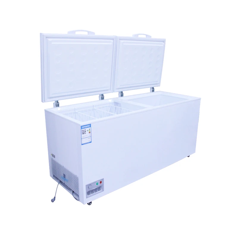Best-selling two-door commercial best-selling food storage freezer 4