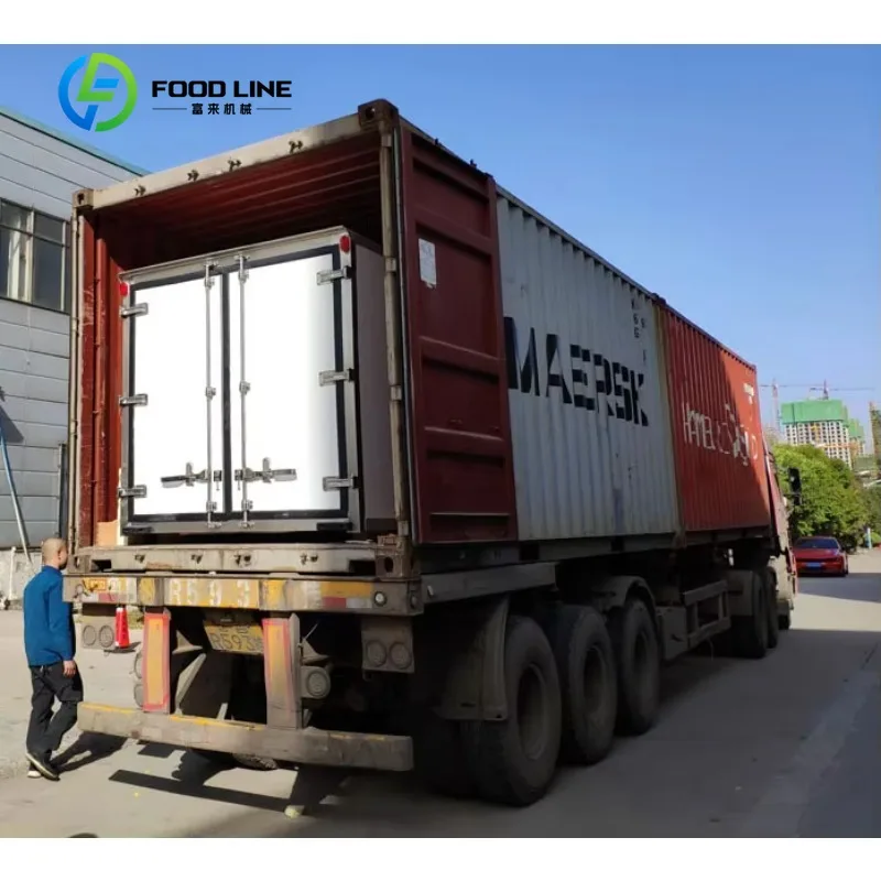 Cella Frigorifera Personalizzata ad Alta Efficienza da 10 Piedi per Pickup con Unità di Refrigerazione e Alimentazione di Emergenza per il Trasporto di Merci Congelate - immagine 6