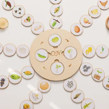 몬테소리 교육 보조기구 어린이 장난감, 동물 수명 주기 보드, 식물 동물 성장 주기 모델 세트, 유치원 인지 장난감, 신제품