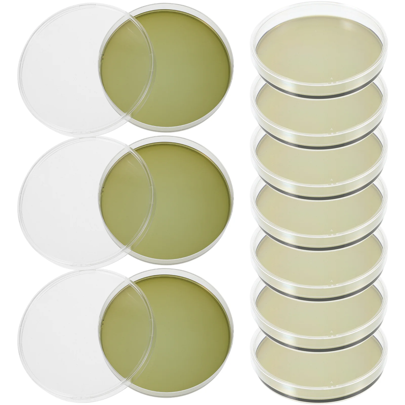 

10 Pcs Agar Test Kit Petri Dishes with Plate Prepoured Portable Plates Plastic Science Projects Tool Experiment Supplies