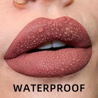 19 colors Matte Velvet Lip Gloss Waterproof Liquid Lipstick Nude Black Lips tint Makeup Lip Glaze Cosmetics Red Lip Stain Beauty 2