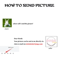 281353-zqt1oq.jpg