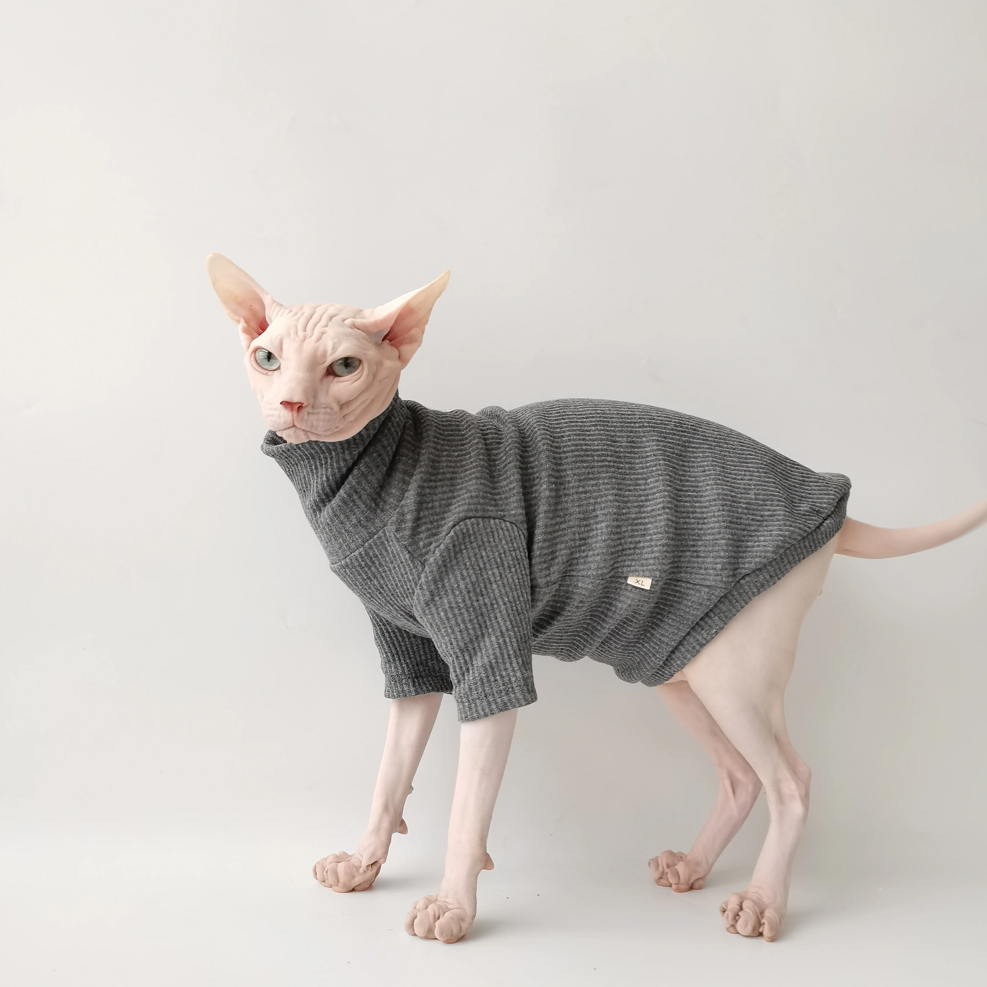 S54bc3b1da62148f8baa61b2bd2e33b2dk