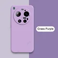 Grass Purple