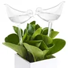 Automatic Plant Watering Bulbs Self Watering Ball/Bird Shape Water Device Drip Irrigation System for Home Garden Flower Plants 3
