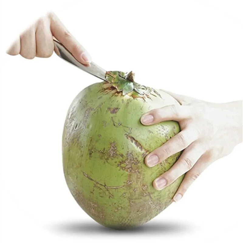 Coconut Opener Stainless Steel Coconut Tools Knife Water Punch Tap Drill Straw Hole Opener Portable Kichen Accessories