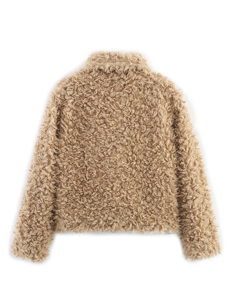 Winter Woman 2025 Faux Fur Coat Autumn Fur Plush Fluffy Jacket Loose Soft Solid Color Fur Short Outerwears Elegant Ladies New