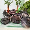 Natural Agate Stone Crystal Druzy Geode Crocodile Statue Home Decor Amethyst Crab Room Decoration Ornament 1