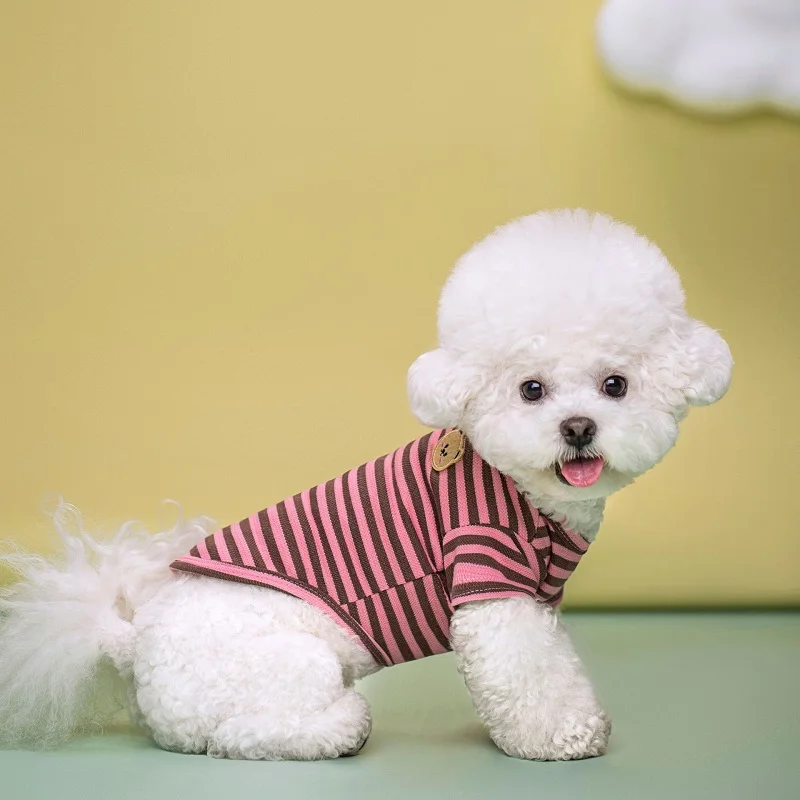 Summer Bear Dog Shirt 3