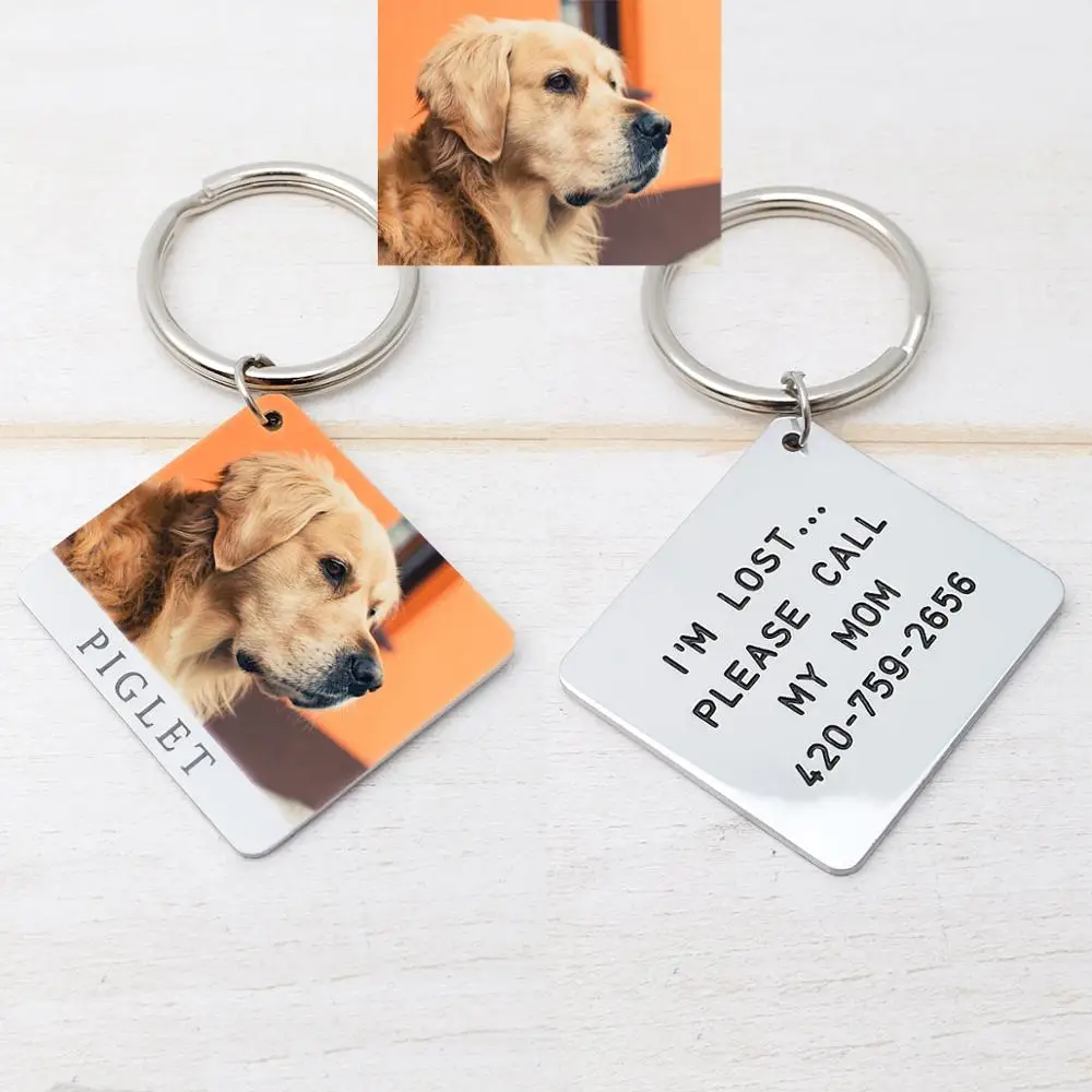 

Personalized Dog Tag Dog Collar Tag Dog Photo Tag Dog Accessories Collar DIY Dog Photo Keychain Custom Pet ID Tag with Photo