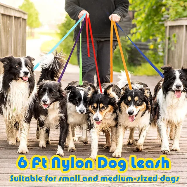 5m Overlength Dog Leash Durable Nylon Puppy Lead for Small Medium Large Dogs Walking Training Camping Accesorios Dog Chain 5