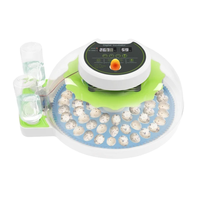 For 60 Quail Eggs Green +Blue Round ABS Quail Egg Incubator Poultry Quail Incubator with LED Screen