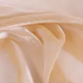 Champagne