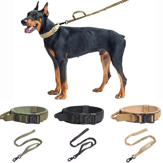 Custom Name Luxury Durable Small Medium Dog Collar And Leash Set No Pull Designer  Pet Accessories Dog Leads - Collars, Harnesses & Leads - AliExpress