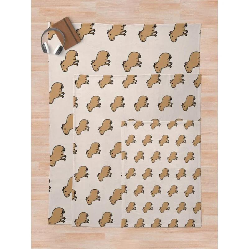 ī�� �ٶ� ���� ���, ���̽� ķ�� ���, ����� ���� ���