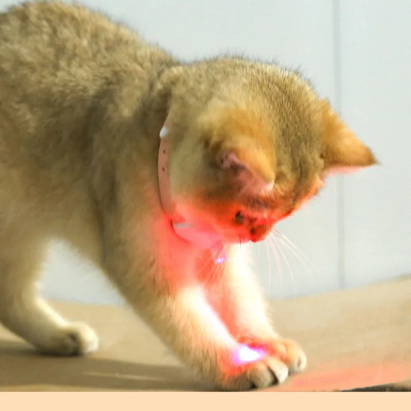 “Smart Laser Cat Collar 4