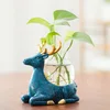 Creative Hydroponic Plant Vase Glass Transparent Container Dish Water Planting Flower Pot Living Room Decoration Decoration 1