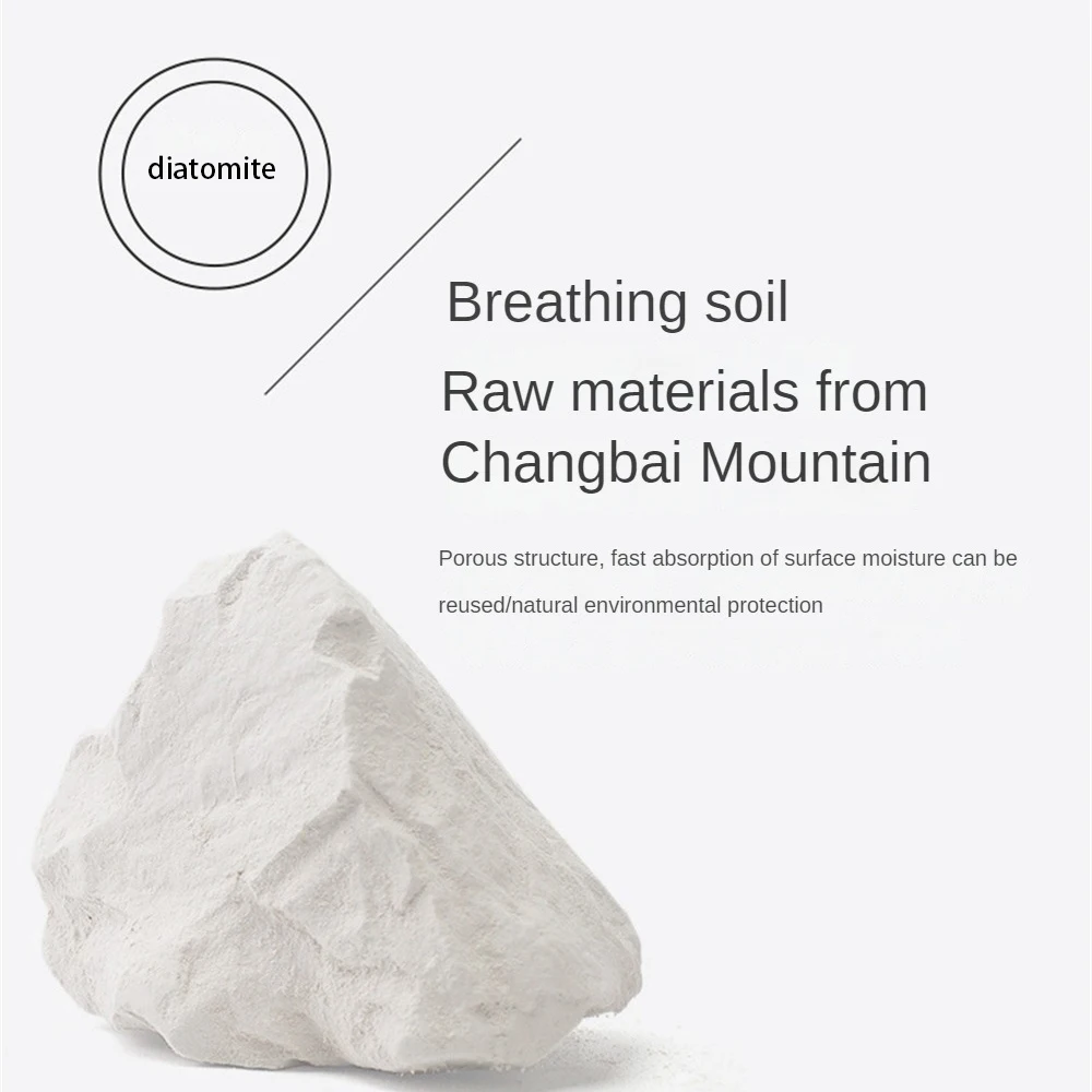Strip Lasting Freshness All Natural Revolutionary Solution Cutting-edge Technology