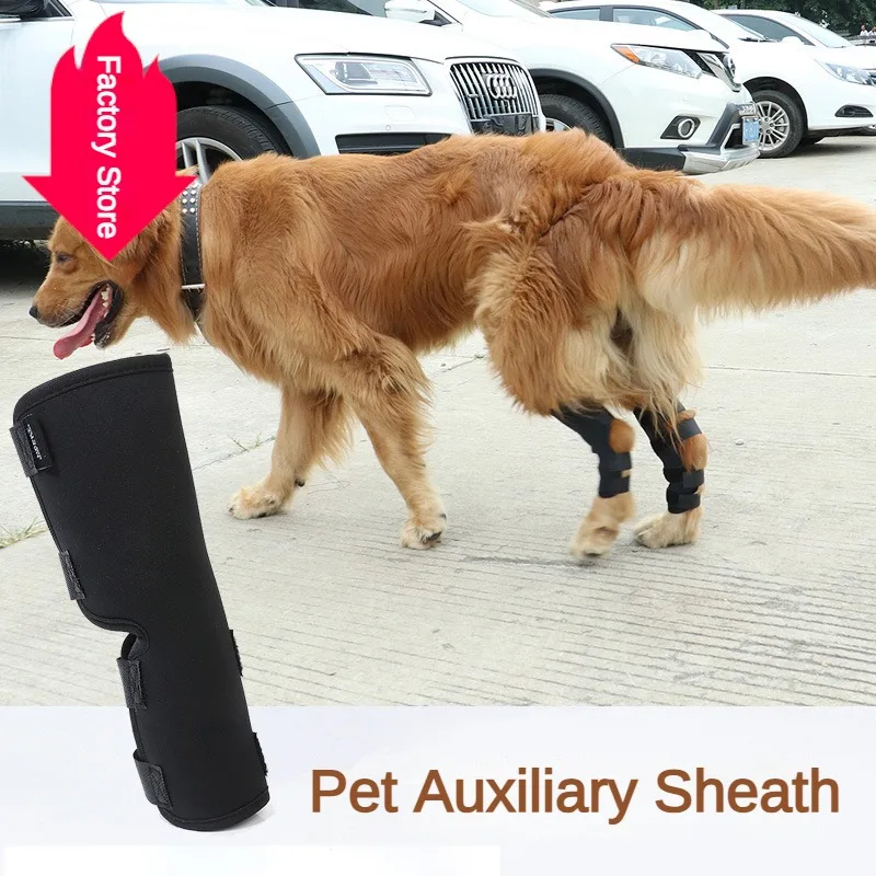 Dog Knee Protection Pet Surgery Recovery And Joint Protection New Product Pet Supplies Dog Training Customizable