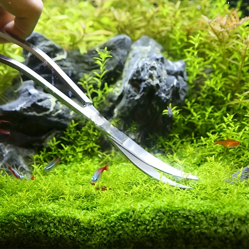 Description Picture 2 of itemNew Aquatic Plant Trimming Tool Set Tweezers Scissors Stainless Steel Clip Scraper Algae Knife Fish Tank Aquascape Cleaning