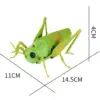 Simulation RC Grasshopper Toy, Remote Control Animal Toy for Kids 6 and Up Children 6