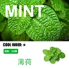 Mint 100pcs