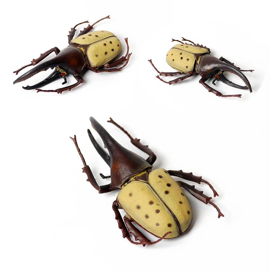 Realistic Insect Figurine Set - Educational Toy Collection