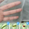 New Plant Protection Bag Cover Netting Mesh for Fruit Vegetable Tree Strawberry Grapes Pest Control Anti-Bird Gardening Tools 4