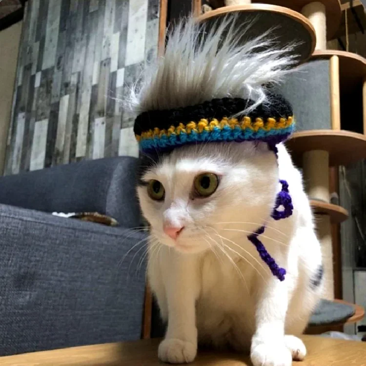 Novelty Hand-crocheted Explosive Head Modeling Halloween Cute Pet Personality Dress Headdress